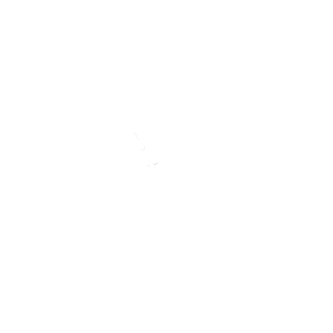 klangfarben Cello
